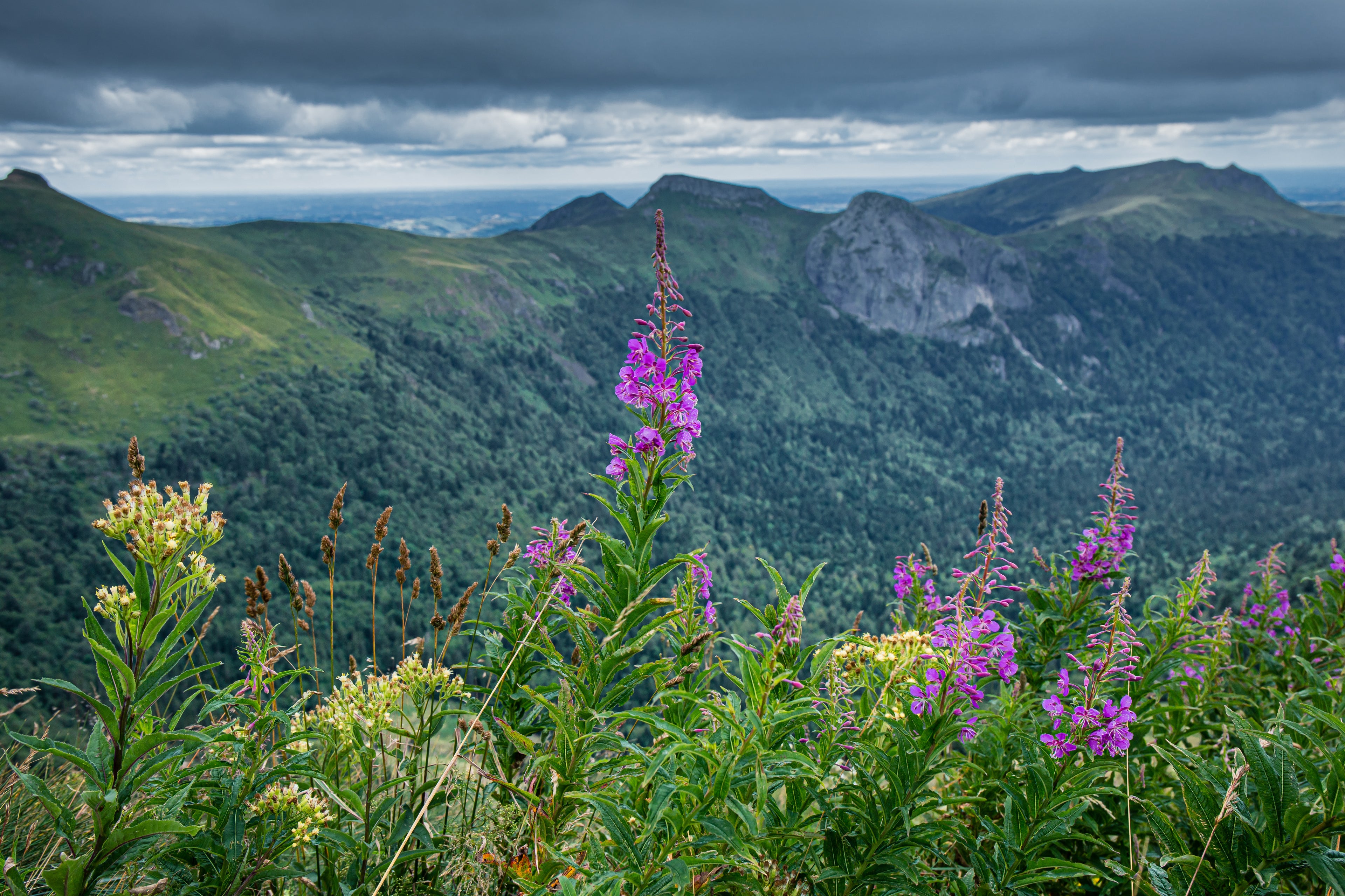 photo du massif du sancy
